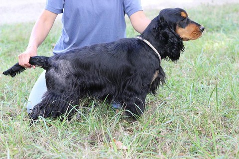 largo