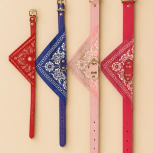 Collier cuir bandana pour chien