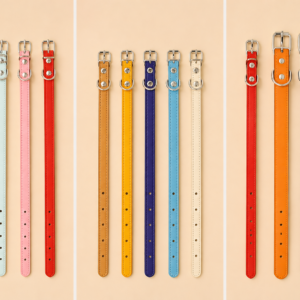Collier en cuir pour chien disponible en plusieurs coloris