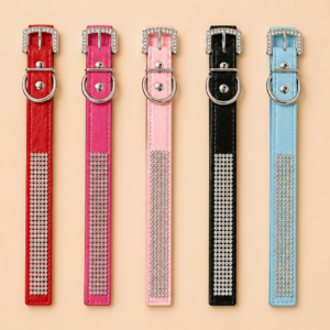 Collier cuir avec strass pour chien