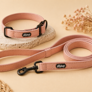 Ensemble collier et laisse Doggy en simili cuir pour chien
