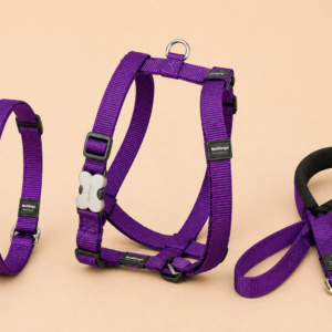 Ensemble collier harnais et laisse Red Dingo pour chien