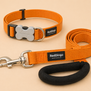 Ensemble collier et laisse Red Dingo pour chien