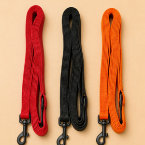 Longe 5 mètres pour chien en nylon