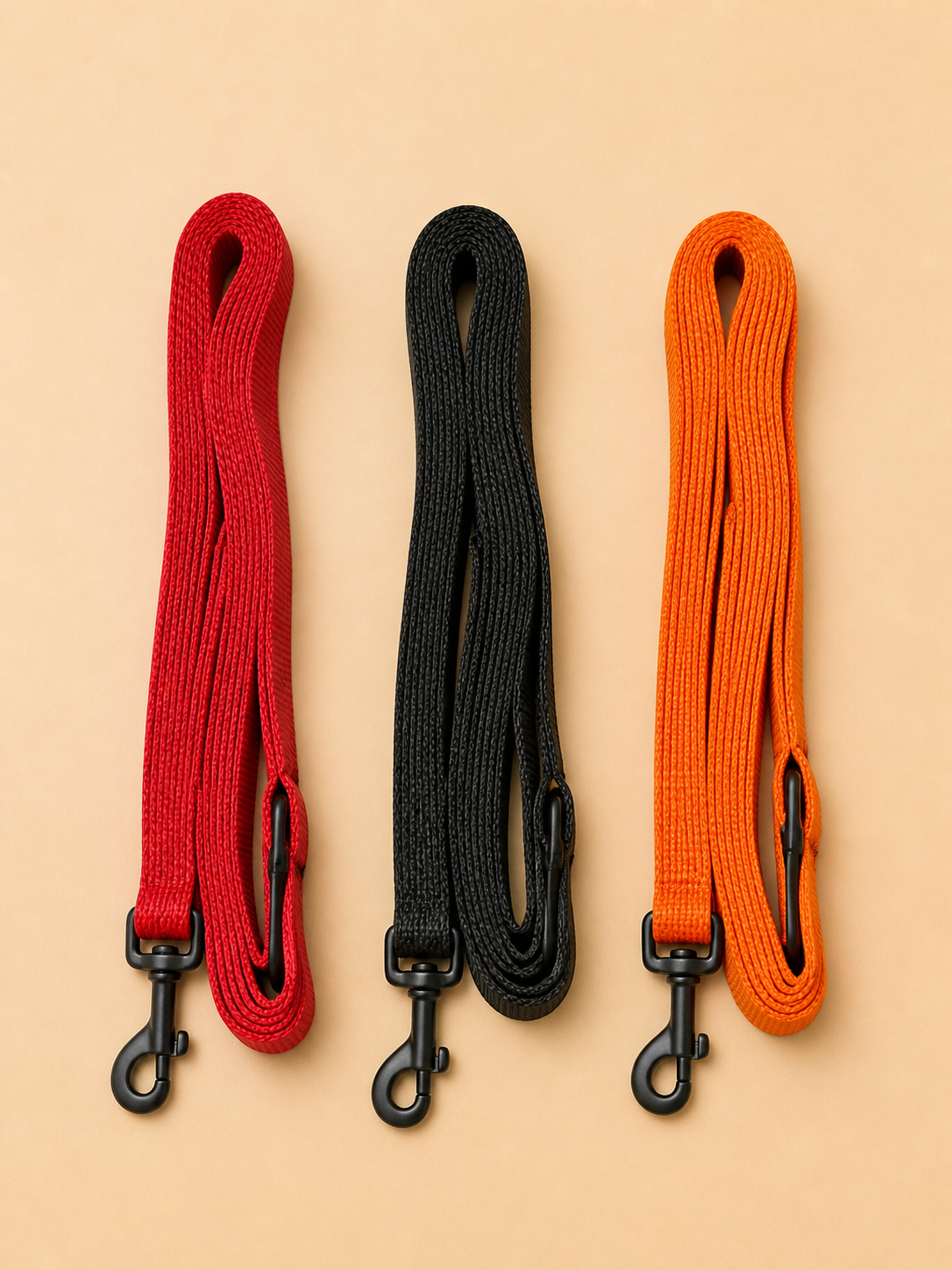 Longe 5 mètres pour chien en nylon