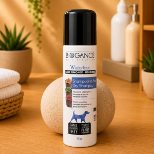 Shampooing Sec Sans Rinçage en Aérosol
