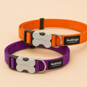 Colliers pour chien