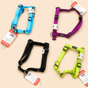 Harnais pour chien